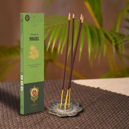 Diviniti Premium Incense Sticks| Incense Stick with Natural Fragrance| Long-Lasting Aroma| Charcoal Free, 100% Natural (Pack of 12)