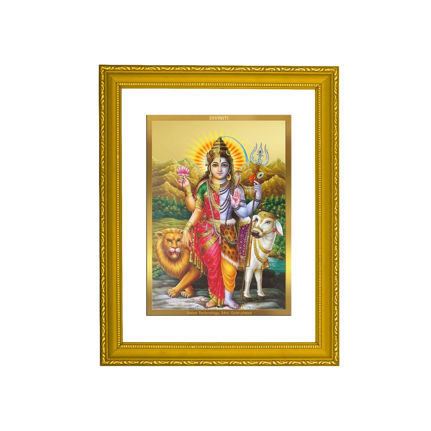 DIVINITI Ardhnarishwar Gold Plated Wall Photo Frame| DG Frame 101 Size 2 Wall Photo Frame and 24K Gold Plated Foil| Religious Photo Frame Idol For Prayer, Gifts Items (20.8CMX16.7CM)