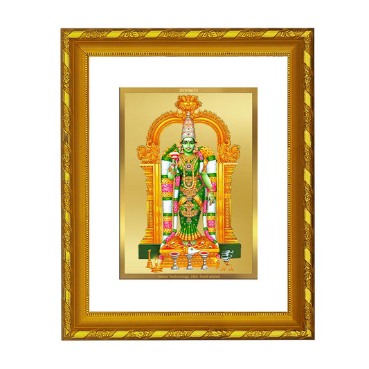 DIVINITI 24K Gold Plated Meenakshi Photo Frame For Home Wall Decor, Tabletop, Gift (21.5 X 17.5 CM)