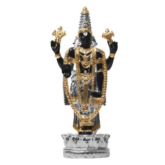 DIVINITI TIRUPATI BALAJI BLACK IDOL